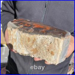 5.8lb Rare Natural petrified wood rough Wood fossil mineral specimen healing 5.8lb Rare Natural petrified wood rough Wood fossil mineral specimen healing