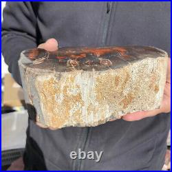 5.8lb Rare Natural petrified wood rough Wood fossil mineral specimen healing 5.8lb Rare Natural petrified wood rough Wood fossil mineral specimen healing