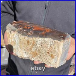 5.8lb Rare Natural petrified wood rough Wood fossil mineral specimen healing 5.8lb Rare Natural petrified wood rough Wood fossil mineral specimen healing