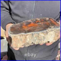 5.8lb Rare Natural petrified wood rough Wood fossil mineral specimen healing 5.8lb Rare Natural petrified wood rough Wood fossil mineral specimen healing