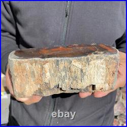 5.8lb Rare Natural petrified wood rough Wood fossil mineral specimen healing 5.8lb Rare Natural petrified wood rough Wood fossil mineral specimen healing