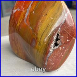 5.95LB Natural Fossil Petrified Wood Polished Freeform Crystal Mineral Healing 5.95LB Natural Fossil Petrified Wood Polished Freeform Crystal Mineral Healing