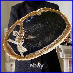 5.97LB Natural Petrified Wood Slab Fossilized Wood Slice Crystal Gem Specimen