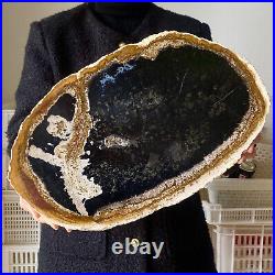 5.97LB Natural Petrified Wood Slab Fossilized Wood Slice Crystal Gem Specimen