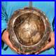 5_9LB_Petrified_Wood_Natural_fossil_quartz_crystal_ashtray_healing_attributes_01_weq
