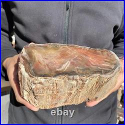 5.9lb Rare Natural petrified wood rough Wood fossil mineral specimen healing