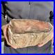 5_9lb_Rare_Natural_petrified_wood_rough_Wood_fossil_mineral_specimen_healing_01_lspd