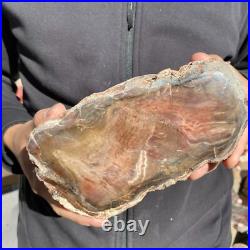 5.9lb Rare Natural petrified wood rough Wood fossil mineral specimen healing