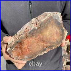 5.9lb Rare Natural petrified wood rough Wood fossil mineral specimen healing