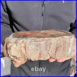 5.9lb Rare Natural petrified wood rough Wood fossil mineral specimen healing