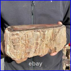 5.9lb Rare Natural petrified wood rough Wood fossil mineral specimen healing