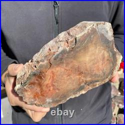 5.9lb Rare Natural petrified wood rough Wood fossil mineral specimen healing