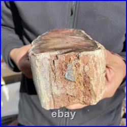 5.9lb Rare Natural petrified wood rough Wood fossil mineral specimen healing