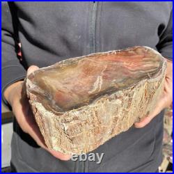 5.9lb Rare Natural petrified wood rough Wood fossil mineral specimen healing