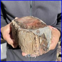 5.9lb Rare Natural petrified wood rough Wood fossil mineral specimen healing