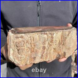 5.9lb Rare Natural petrified wood rough Wood fossil mineral specimen healing