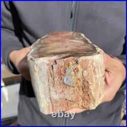 5.9lb Rare Natural petrified wood rough Wood fossil mineral specimen healing