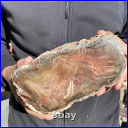 5.9lb Rare Natural petrified wood rough Wood fossil mineral specimen healing