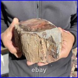5.9lb Rare Natural petrified wood rough Wood fossil mineral specimen healing