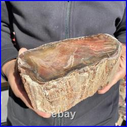 5.9lb Rare Natural petrified wood rough Wood fossil mineral specimen healing