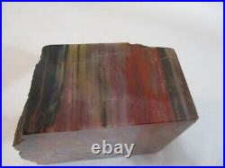 5 Lb. Arizona Rainbow Petrified Wood Display Piece With Bark