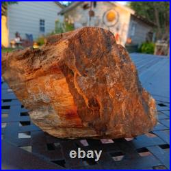 5lb 10oz Rare Natural petrified wood rough Wood fossil mineral specimen healing 5lb 10oz Rare Natural petrified wood rough Wood fossil mineral specimen healing