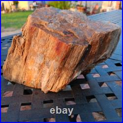 5lb 10oz Rare Natural petrified wood rough Wood fossil mineral specimen healing 5lb 10oz Rare Natural petrified wood rough Wood fossil mineral specimen healing