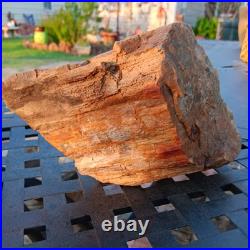 5lb 10oz Rare Natural petrified wood rough Wood fossil mineral specimen healing 5lb 10oz Rare Natural petrified wood rough Wood fossil mineral specimen healing