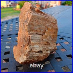 5lb 10oz Rare Natural petrified wood rough Wood fossil mineral specimen healing 5lb 10oz Rare Natural petrified wood rough Wood fossil mineral specimen healing