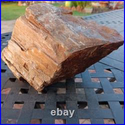 5lb 10oz Rare Natural petrified wood rough Wood fossil mineral specimen healing 5lb 10oz Rare Natural petrified wood rough Wood fossil mineral specimen healing