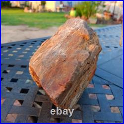 5lb 10oz Rare Natural petrified wood rough Wood fossil mineral specimen healing 5lb 10oz Rare Natural petrified wood rough Wood fossil mineral specimen healing
