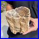 5lb_Rare_Natural_petrified_wood_rough_Wood_fossil_mineral_specimen_healing_01_fdv