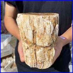 5lb Rare Natural petrified wood rough Wood fossil mineral specimen healing 5lb Rare Natural petrified wood rough Wood fossil mineral specimen healing