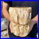 5lb_Rare_Natural_petrified_wood_rough_Wood_fossil_mineral_specimen_healing_01_yk