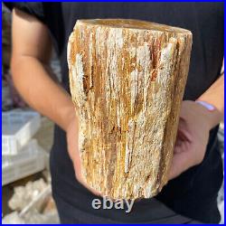 5lb Rare Natural petrified wood rough Wood fossil mineral specimen healing 5lb Rare Natural petrified wood rough Wood fossil mineral specimen healing