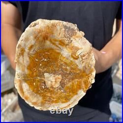 5lb Rare Natural petrified wood rough Wood fossil mineral specimen healing 5lb Rare Natural petrified wood rough Wood fossil mineral specimen healing