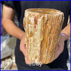 5lb Rare Natural petrified wood rough Wood fossil mineral specimen healing 5lb Rare Natural petrified wood rough Wood fossil mineral specimen healing