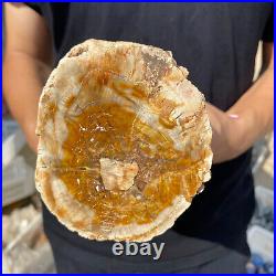 5lb Rare Natural petrified wood rough Wood fossil mineral specimen healing 5lb Rare Natural petrified wood rough Wood fossil mineral specimen healing