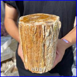 5lb Rare Natural petrified wood rough Wood fossil mineral specimen healing 5lb Rare Natural petrified wood rough Wood fossil mineral specimen healing