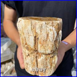 5lb Rare Natural petrified wood rough Wood fossil mineral specimen healing 5lb Rare Natural petrified wood rough Wood fossil mineral specimen healing