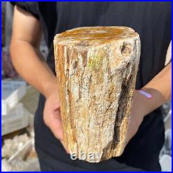 5lb Rare Natural petrified wood rough Wood fossil mineral specimen healing 5lb Rare Natural petrified wood rough Wood fossil mineral specimen healing