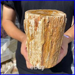 5lb Rare Natural petrified wood rough Wood fossil mineral specimen healing 5lb Rare Natural petrified wood rough Wood fossil mineral specimen healing