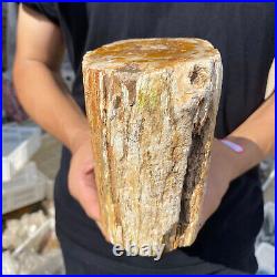 5lb Rare Natural petrified wood rough Wood fossil mineral specimen healing 5lb Rare Natural petrified wood rough Wood fossil mineral specimen healing