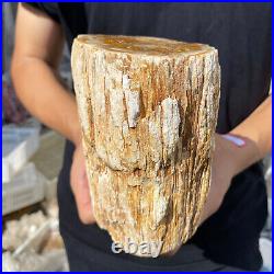 5lb Rare Natural petrified wood rough Wood fossil mineral specimen healing 5lb Rare Natural petrified wood rough Wood fossil mineral specimen healing