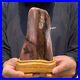 600g_Natural_Fossil_Petrified_Wood_Polished_FreeForm_Display_Crystal_Healing_01_vc