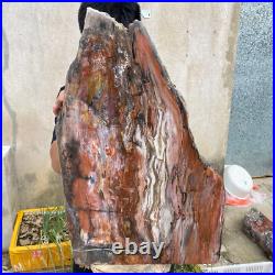 61.2lb Rare Natural petrified wood rough Wood fossil mineral specimen healing