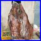 61_2lb_Rare_Natural_petrified_wood_rough_Wood_fossil_mineral_specimen_healing_01_zx