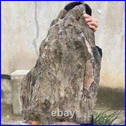 61.2lb Rare Natural petrified wood rough Wood fossil mineral specimen healing