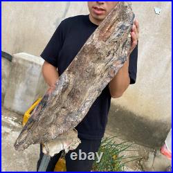 61.2lb Rare Natural petrified wood rough Wood fossil mineral specimen healing