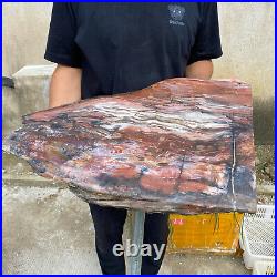 61.2lb Rare Natural petrified wood rough Wood fossil mineral specimen healing